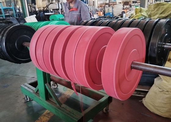 Bảng trọng lượng barbell sắt 5kg-20kg tùy chọn cho sức mạnh và sức chịu đựng